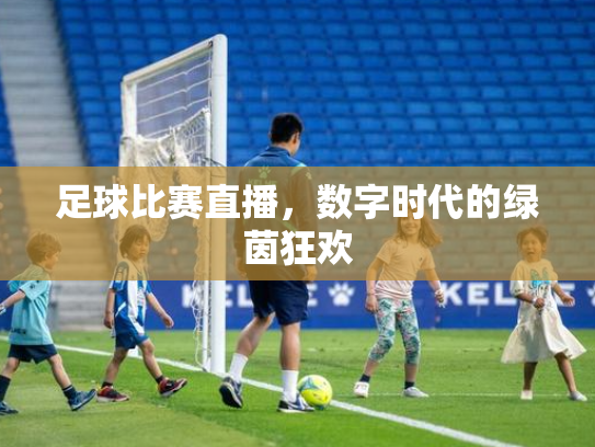 足球比赛直播，数字时代的绿茵狂欢