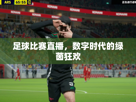 足球比赛直播，数字时代的绿茵狂欢