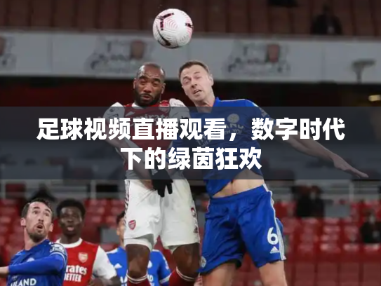 足球视频直播观看，数字时代下的绿茵狂欢