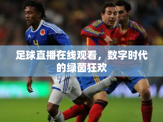足球直播在线观看，数字时代的绿茵狂欢