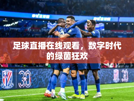 足球直播在线观看，数字时代的绿茵狂欢