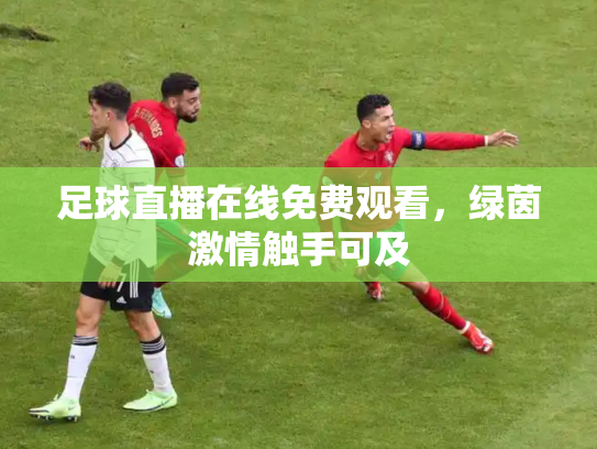 足球直播在线免费观看，绿茵激情触手可及