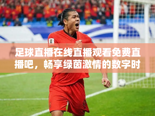 足球直播在线直播观看免费直播吧，畅享绿茵激情的数字时代