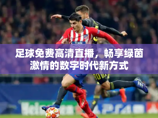 足球免费高清直播，畅享绿茵激情的数字时代新方式