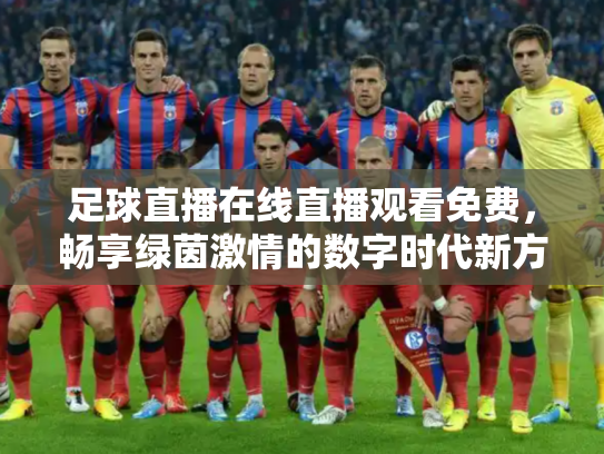 足球直播在线直播观看免费，畅享绿茵激情的数字时代新方式