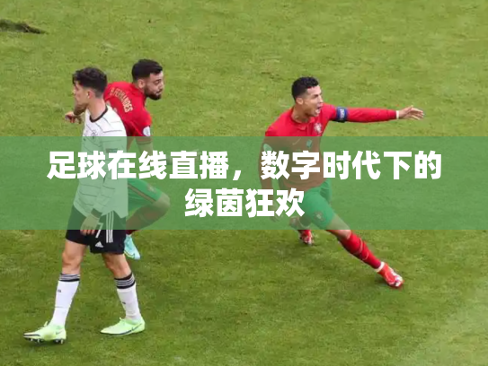 足球在线直播，数字时代下的绿茵狂欢