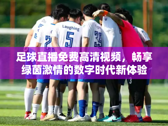 足球直播免费高清视频，畅享绿茵激情的数字时代新体验