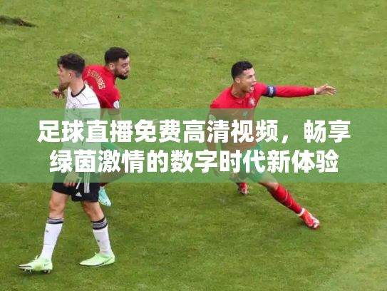 足球直播免费高清视频，畅享绿茵激情的数字时代新体验
