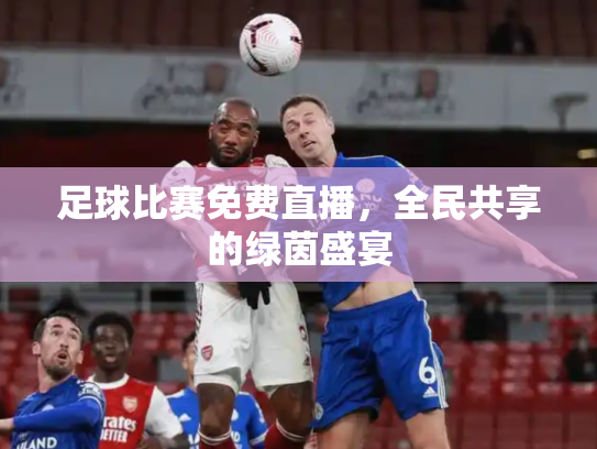 足球比赛免费直播，全民共享的绿茵盛宴