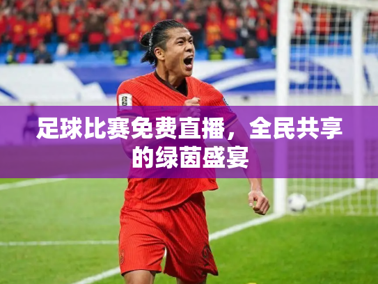 足球比赛免费直播，全民共享的绿茵盛宴