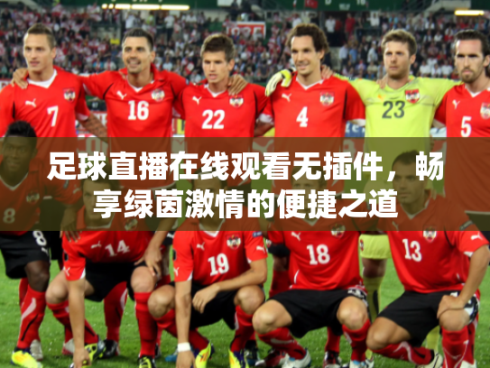 足球直播在线观看无插件，畅享绿茵激情的便捷之道