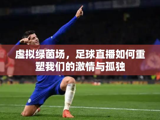 虚拟绿茵场，足球直播如何重塑我们的激情与孤独