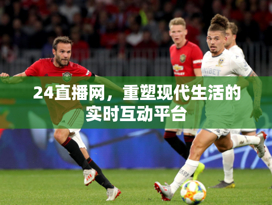 24直播网，重塑现代生活的实时互动平台