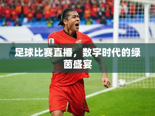 足球比赛直播，数字时代的绿茵盛宴