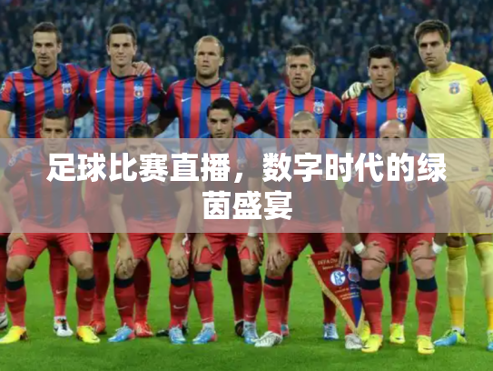 足球比赛直播，数字时代的绿茵盛宴