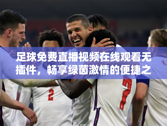 足球免费直播视频在线观看无插件，畅享绿茵激情的便捷之道