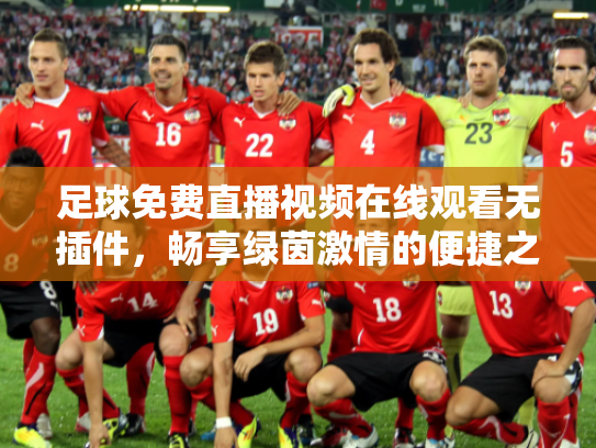 足球免费直播视频在线观看无插件，畅享绿茵激情的便捷之道