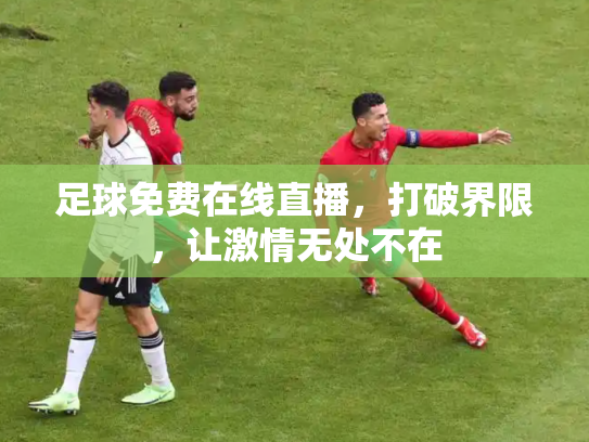 足球免费在线直播，打破界限，让激情无处不在