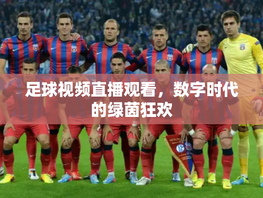 足球视频直播观看，数字时代的绿茵狂欢