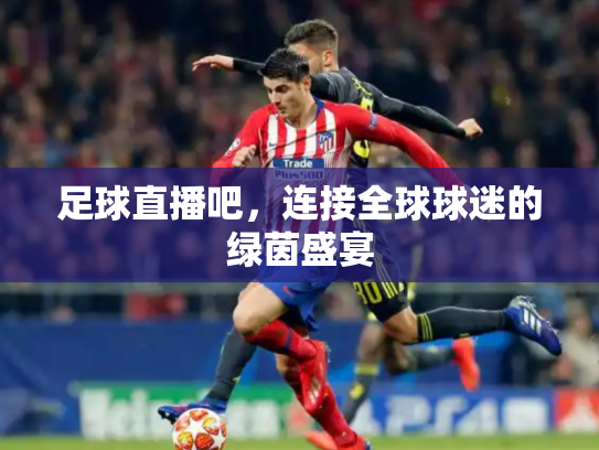 足球直播吧，连接全球球迷的绿茵盛宴