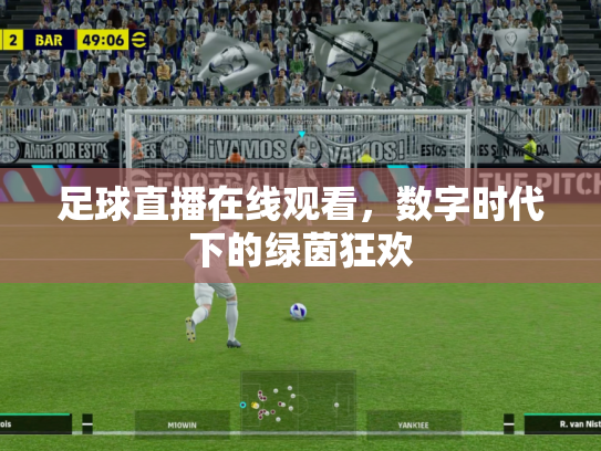 足球直播在线观看，数字时代下的绿茵狂欢