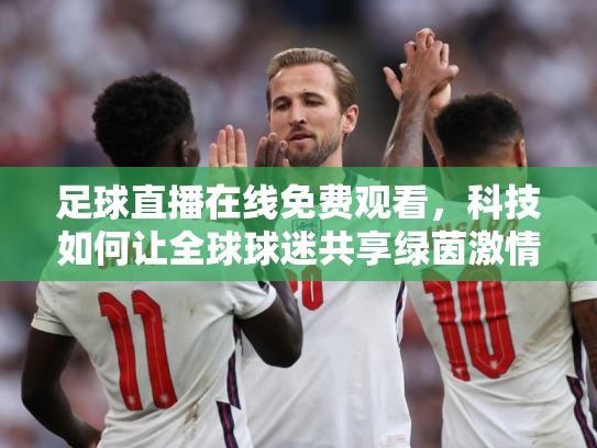足球直播在线免费观看，科技如何让全球球迷共享绿茵激情