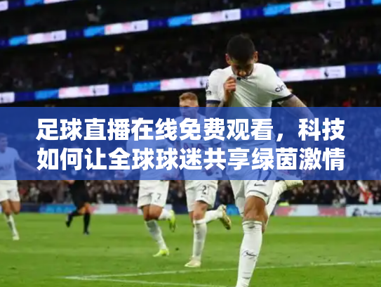足球直播在线免费观看，科技如何让全球球迷共享绿茵激情