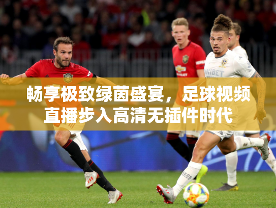 畅享极致绿茵盛宴，足球视频直播步入高清无插件时代