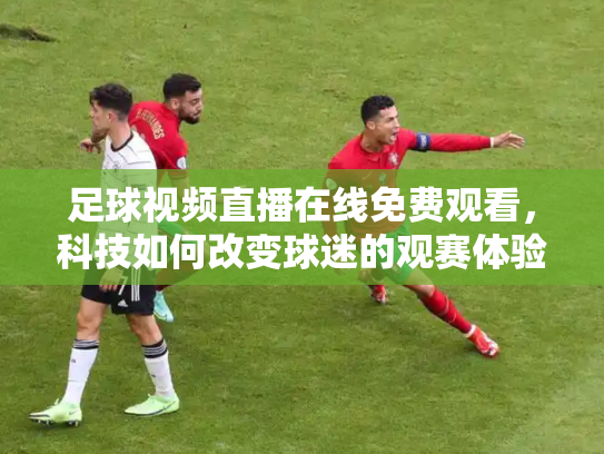 足球视频直播在线免费观看，科技如何改变球迷的观赛体验