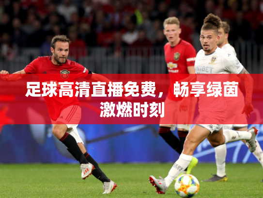 足球高清直播免费，畅享绿茵激燃时刻