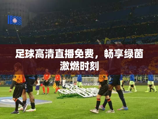 足球高清直播免费，畅享绿茵激燃时刻