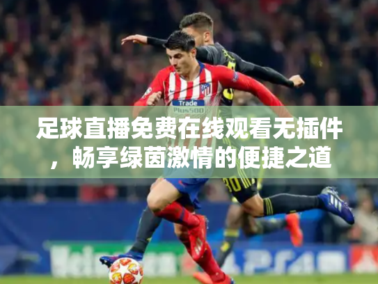 足球直播免费在线观看无插件，畅享绿茵激情的便捷之道