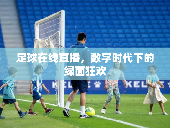 足球在线直播，数字时代下的绿茵狂欢
