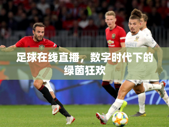足球在线直播，数字时代下的绿茵狂欢
