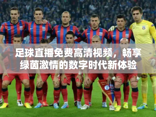 足球直播免费高清视频，畅享绿茵激情的数字时代新体验