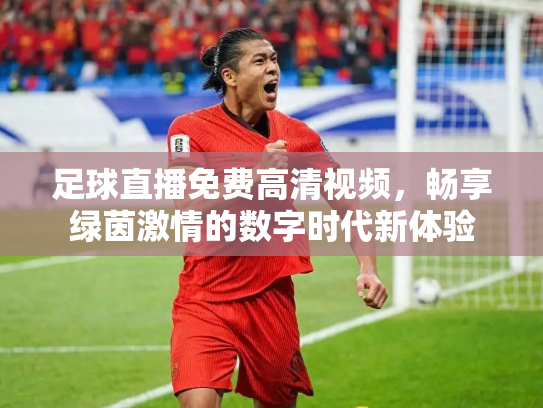 足球直播免费高清视频，畅享绿茵激情的数字时代新体验