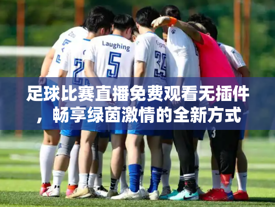 足球比赛直播免费观看无插件，畅享绿茵激情的全新方式