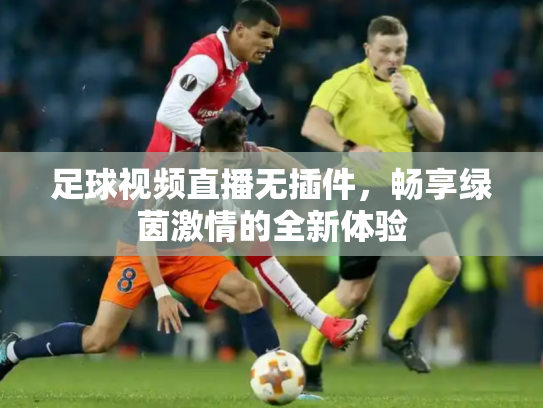 足球视频直播无插件，畅享绿茵激情的全新体验