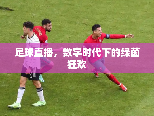 足球直播，数字时代下的绿茵狂欢