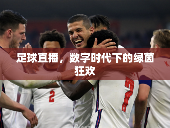足球直播，数字时代下的绿茵狂欢