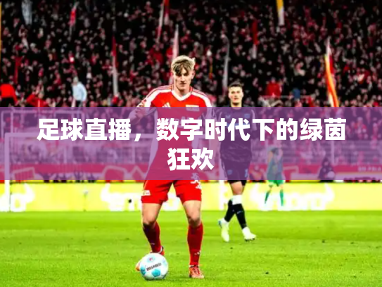 足球直播，数字时代下的绿茵狂欢