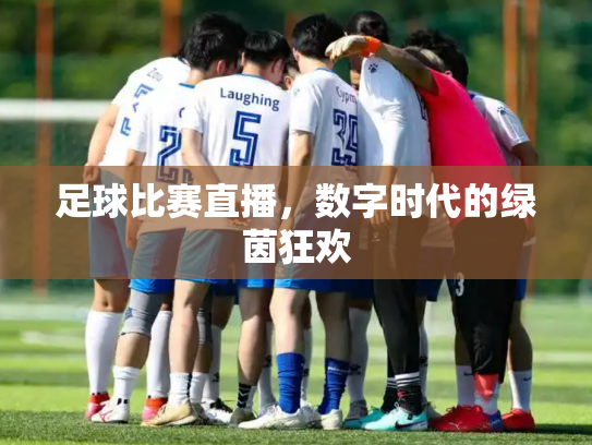 足球比赛直播，数字时代的绿茵狂欢
