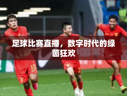 足球比赛直播，数字时代的绿茵狂欢