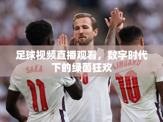 足球视频直播观看，数字时代下的绿茵狂欢