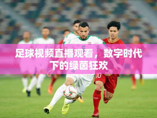足球视频直播观看，数字时代下的绿茵狂欢
