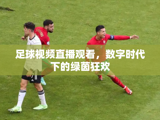 足球视频直播观看，数字时代下的绿茵狂欢