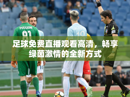 足球免费直播观看高清，畅享绿茵激情的全新方式