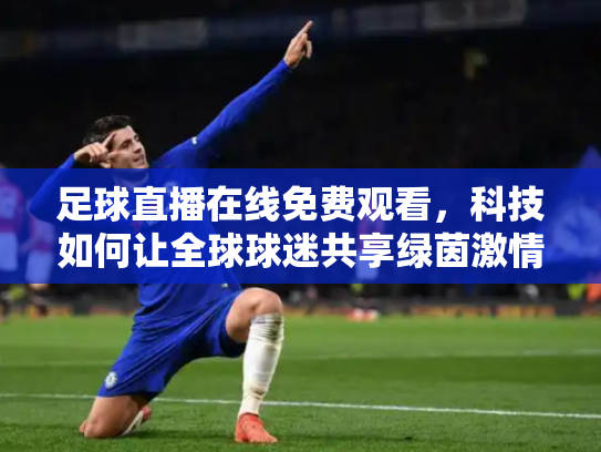 足球直播在线免费观看，科技如何让全球球迷共享绿茵激情