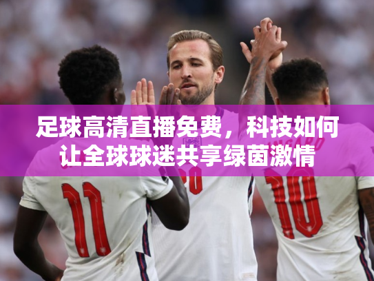 足球高清直播免费，科技如何让全球球迷共享绿茵激情