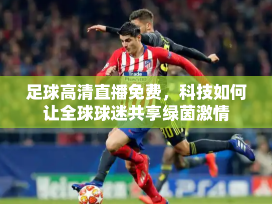 足球高清直播免费，科技如何让全球球迷共享绿茵激情